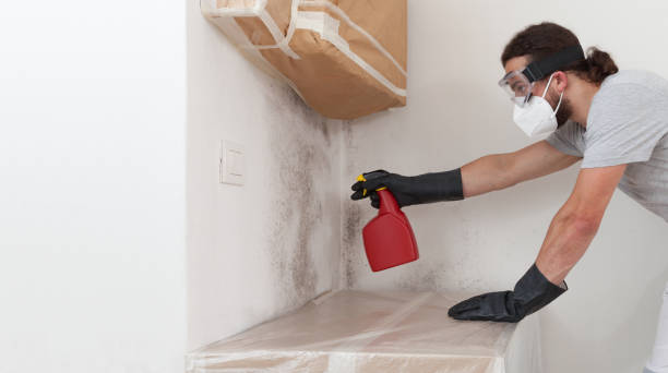 Professional Mold Inspection And Testing technician working in Clifton, VA