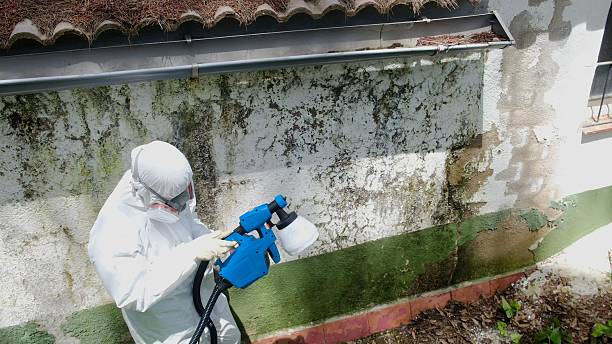 Top rated local Mold Inspection And Testing specialists in Clifton, VA